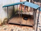 Dog Kennel