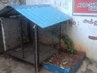Dog Cage