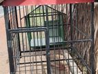 Dog Cage