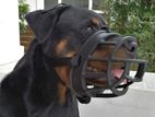 Dog Muzzle Anti Bite Mouth Guard Protector