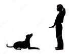 Dog Training Home Visit