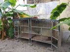 Dog Cage