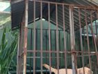 Dogs Cage