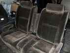 Dolphin Seat Set