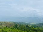 දොලුව හන්තාන කදු පෙනෙන මානයේ ඉඩමක්
