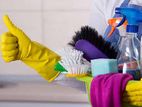 Domestic Cleaning services