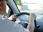 Domestic drivers