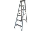 Domestic Ladder 6 Ft