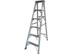 Domestic Ladder 6FT