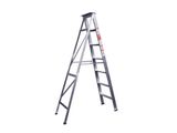 Domestic Ladder 7FT