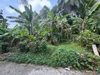 Dompe Palugama Land for Sale - Near Link Natural Factory