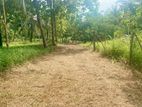 දොරනාගොඩ – වඩුවේගම පාරෙන් වටිනා ඉඩමක් විකිණීමට