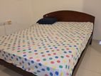 Double Bed with Damro Spring Mattress