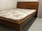 Double Queen Size Teak Bed