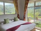 Seasonal Rooms Rent in Nuwara Eliya