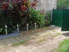 Down stairhouse for rent