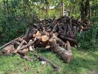 දර කොට