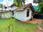 (DR1314) Single Storey House for Rent in Pannipitiya