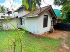 (DR1314) Single Storey House for Rent in Pannipitiya