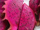 Dragon Fruit