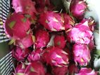 Dragon fruit