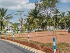 Dream Land in The Heart of Gampaha