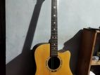 Dream Maker Acoustic Guitar DM 307