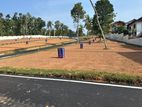 Dream Plot in Kadawatha – Prime Location, Perfect