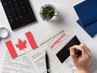 Visa Consultant Service