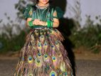 Peacock Dress