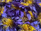 Dried Blue Lotus Flowers