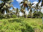 දරණගම – පොල් වගා ඉඩමක් විකිණීමට