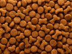 Dry Dog Food