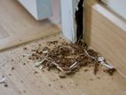 Drywood Termite Treatments and Insect Control