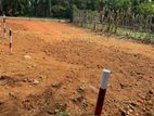Ds6002/Land for Sale Pelawatta