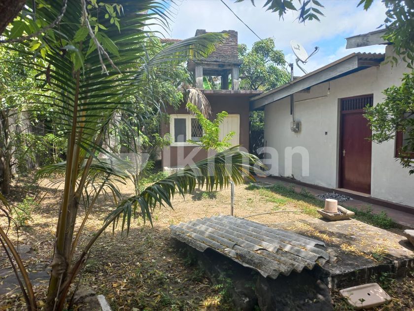 Ds7756/super Land for Sale Dehiwala ikman