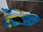 DSC Cricket shoes