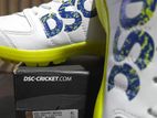 DSC Cricket Shoes | New