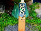 DSC Leather Bat