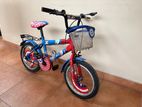 DSI 14 Inch BMX Kid's Bicycle