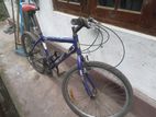 DSI 24 Bike