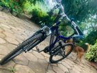 DSI 24 Dual SUS 21 SP Mountain Bicycle