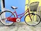 DSI 24” Princess Bicycle