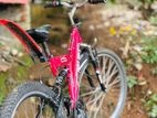 DSI 26’ Mountain Bicycle