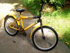 DSI Altrix Bicycle