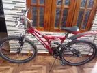 DSI Bicycle