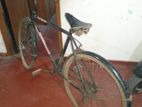 DSI Bicycle