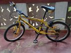DSI bicycle