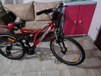 Dsi Bicycle