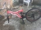 DSI Bicycle